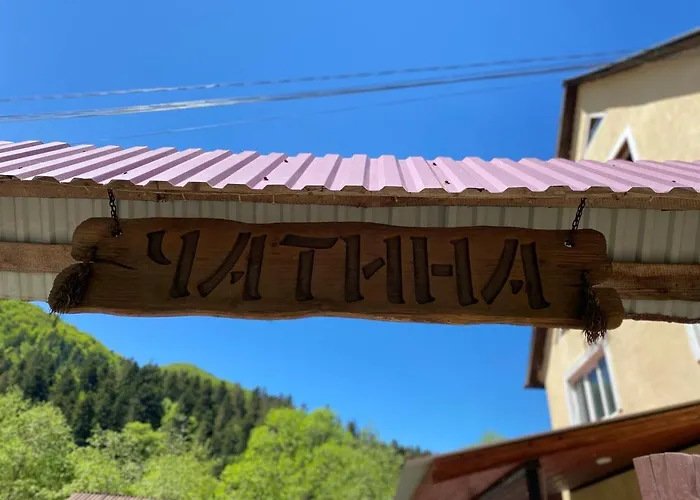Hotel готель-кафе чатина Soymy